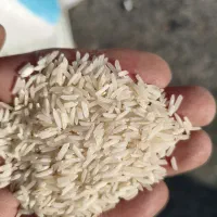 برنجج شمالی|خوردنی و آشامیدنی|بروجن, |دیوار