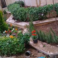 خدمات باغبانی گلکاری کاشت گل درختکاری باغچه کاری