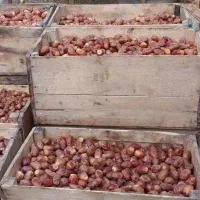 750000|عمده‌فروشی|اهواز, کارون|دیوار