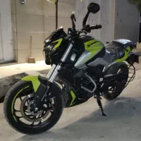 غول هندی دومینار ۲۵۰