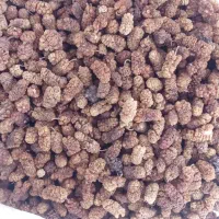 توت خشک امسال