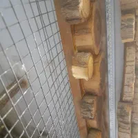 قفس چوبی|لوازم جانبی حیوانات|کرمان, |دیوار