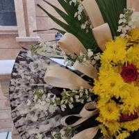 تاج گل|گل و گیاه طبیعی|تهران, جوادیه تهرانپارس|دیوار