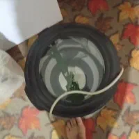 سبزی خردکن|خردکن، آسیاب، غذاساز|سبزوار, جوادیه شرقی|دیوار