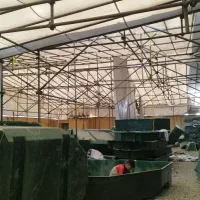 چادر برزنت سقف روی داربست دوخت و سایبان|کوهنوردی و کمپینگ|تهران, تهرانسر شرقی|دیوار