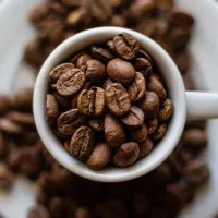 انواع دان قهوه