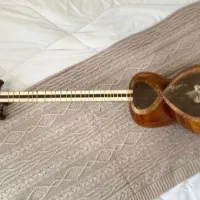 تار سالم خوش صدا