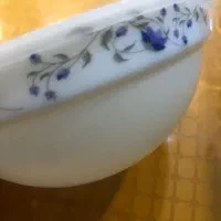 ظرف نگهدارنده غذا