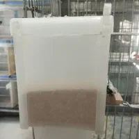 جای دونی پرنده