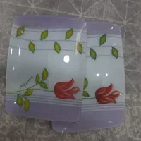 پیش دستی و دیس|ظروف سرو و پذیرایی|رشت, ولکس|دیوار