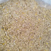 جوودان پرواری