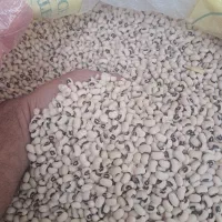 لوبیا آشی محلی(چشم بلبلی) درجه یک و زودپز|خوردنی و آشامیدنی|کوهدشت, |دیوار