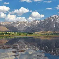 پلاک مسکونی چغاخور