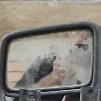 اینه بغل پژویی