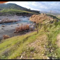 این-باغ-در-یاسوج-به-فروش-میرسد