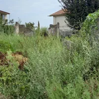 ۲۵۰مترزمین مسکونی باسند همراه با امتیازآب.برق.گاز|فروش زمین و ملک کلنگی|رودسر, |دیوار
