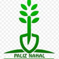 فاکتورزن حرفه ای خانوم