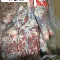 پخش گوشت و مرغ منجمد عمده|عمده‌فروشی|تهران, شهرک کوهسار|دیوار