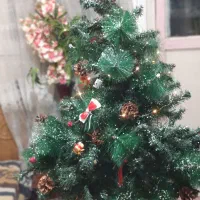 کاج کریسمس با لوزم