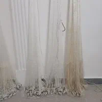 تور ماهیگیری سالی