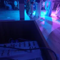 دی جی خانم و مراسم گردانی حرفه ای