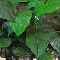 گل و درختچه مصنوعی خارجی|گل مصنوعی|کنگاور, |دیوار