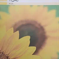 کتاب|لوازم التحریر|اصفهان, شهید رجایی|دیوار