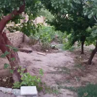 زمین چهاردیواری نصرت آباد|فروش زمین و ملک کلنگی|الوند, |دیوار