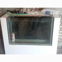 فروش آکواریوم باتمامامکاناتومیزامدیاف|ماهی|شوشتر, |دیوار