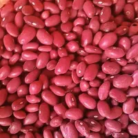 لوبیا قرمز بوجاری شده