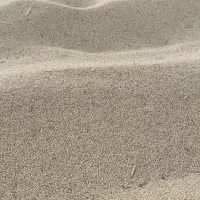 فروش عمده ارزن