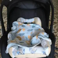 کریر Delijan Fly  در حد نو + ۲ تشکچه دست‌دوز هدیه