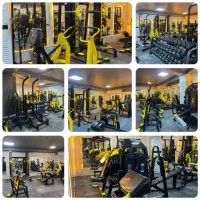 پرند باشگاه بدنسازی شیران