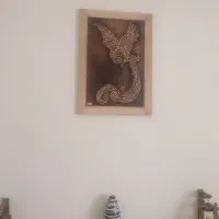 هم خانه آپارتمان 60متری