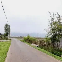 فروش-زمین-شهرکی-ویو-کامل-دریا-و-جنگل