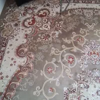 فرش ۹ متری|فرش|بندر انزلی, باغ زمانی|دیوار