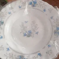 اکروپال گل آبی