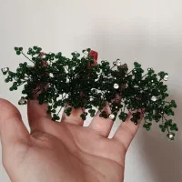 انواع ریسه شنیون|بدلیجات|تهران, حکیمیه|دیوار