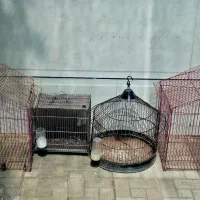 قفس پرنده