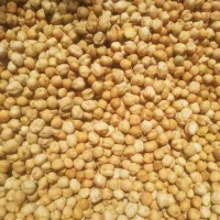 نخود ابگوشتی کرمانشاهی