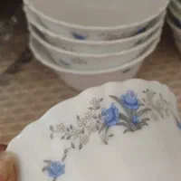 پیاله ماست