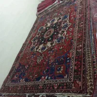 ده عدد فرش دستباف ۵۰ م هرکدام ۵ میلیون