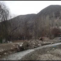 زمین-باغی