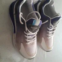 کفش نایک خوش رنگ|کیف، کفش، کمربند|صدرا-فارس, فاز ۲|دیوار