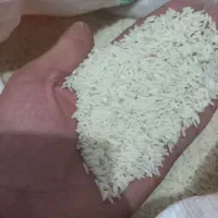 برنج هاشمی درجه یک دو الکه