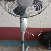 پنکه