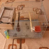 قفس پرنده|لوازم جانبی حیوانات|مبارکه, |دیوار