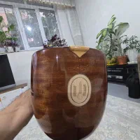 باغلاما حرفه ای اکتای ایلماز