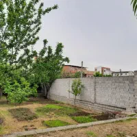 اجاره یا مشارکت در ساخت