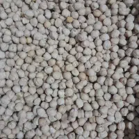 نخود بهاره درجه یک